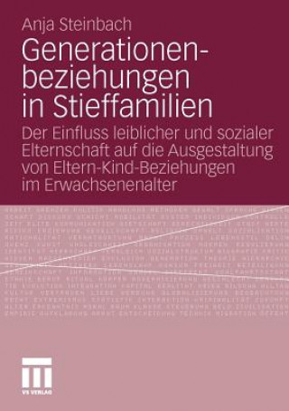 Livre Generationenbeziehungen in Stieffamilien Anja Steinbach