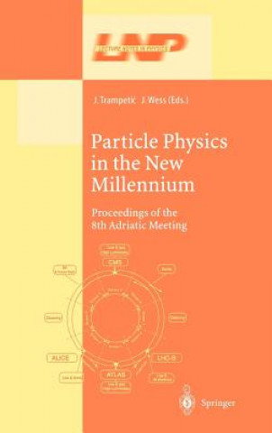 Kniha Particle Physics in the New Millennium Josip Trampetic