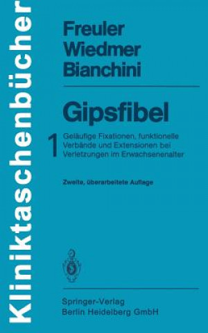 Книга Gipsfibel Domizio Bianchini