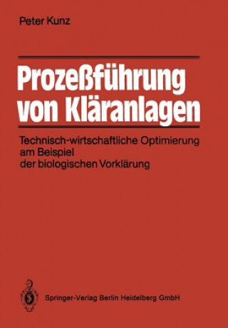 Kniha Proze f hrung Von Kl ranlagen Peter Kunz