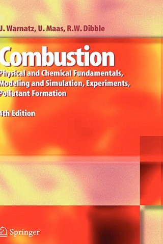 Kniha Combustion Dibble