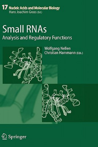 Könyv Small RNAs: Wolfgang Nellen