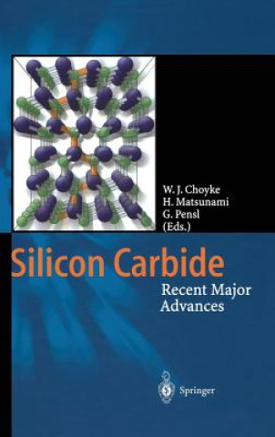 Kniha Silicon Carbide Wolfgang J. Choyke