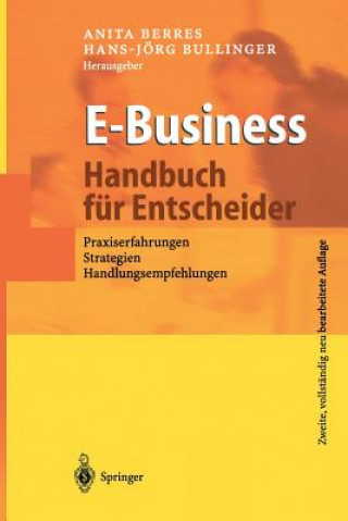 Kniha E-Business - Handbuch fur Entscheider 
