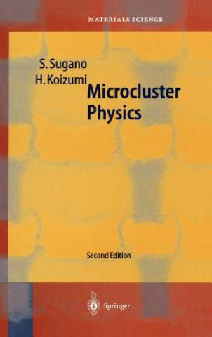 Книга Microcluster Physics Koizumi