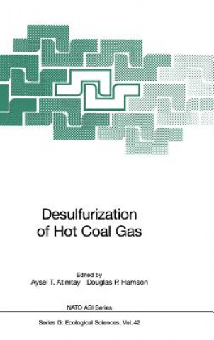 Könyv Desulfurization of Hot Coal Gas Aysel T. Atimtay