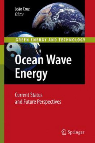 Könyv Ocean Wave Energy Joao Cruz