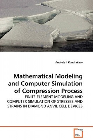 Kniha Mathematical Modeling and Computer Simulation of Compression Process Andreiy I Kondrat'yev