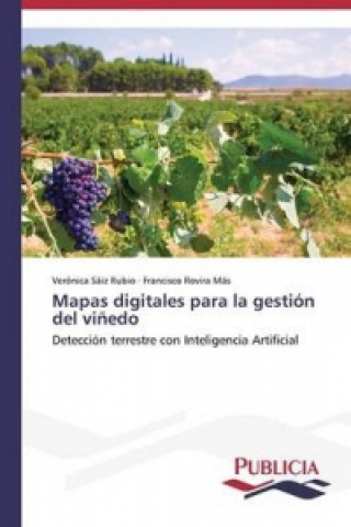 Kniha Mapas digitales para la gestion del vinedo Rovira Mas Francisco