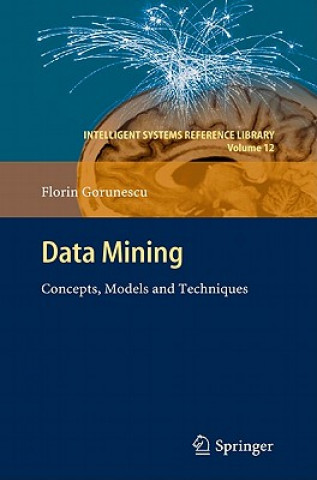 Kniha Data Mining Florin Gorunescu