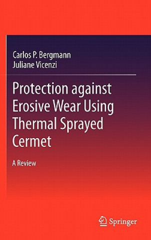 Buch Protection against Erosive Wear using Thermal Sprayed Cermet Juliane Vicenzi