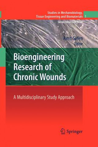 Book Bioengineering Research of Chronic Wounds Amit Gefen