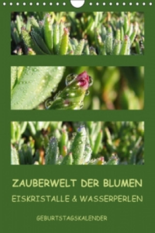 Kalendář/Diář ZAUBERWELT DER BLUMEN EISKRISTALLE A KIESOW  TANJA