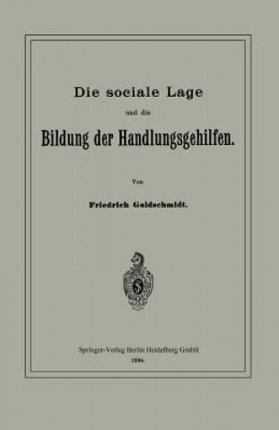 Kniha Sociale Lage Und Die Bildung Der Handlungsgehilfen Friedrich Goldschmidt