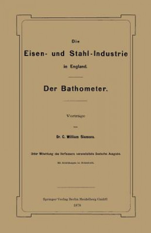 Könyv Eisen- Und Stahl-Industrie in England William Siemens