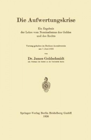 Kniha Aufwertungskrise James Goldschmidt