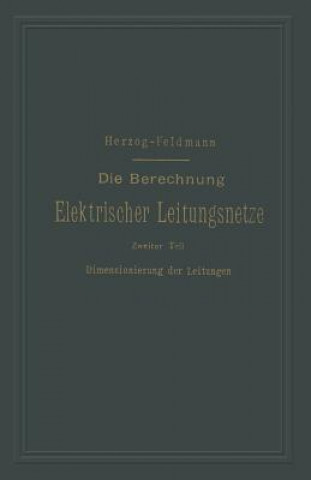 Kniha Berechnung Elektrischer Leitungsnetze in Theorie Und Praxis Clarence Paul Feldmann