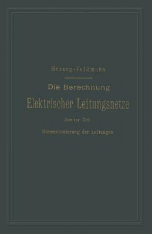 Book Berechnung Elektrischer Leitungsnetze in Theorie Und Praxis Clarence Paul Feldmann