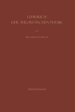 Kniha Mechanik Geordneter Und Ungeordneter Bewegungen Siegfried Flugge