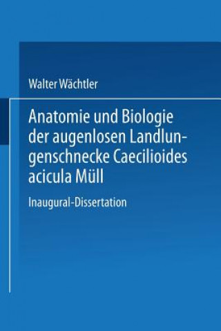 Книга Anatomie Und Biologie Der Augenlosen Landlungenschnecke Caecilioides Acicula Mull Walter Wachtler