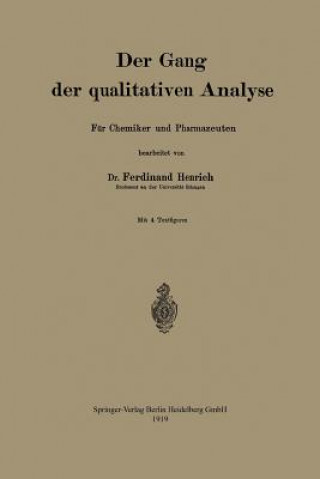 Kniha Der Gang Der Qualitativen Analyse Ferdinand Heinrich