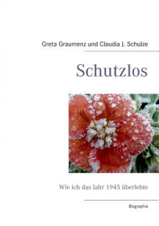 Kniha Schutzlos Greta Graumenz