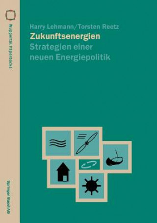 Könyv Zukunftsenergien Torsten Reetz