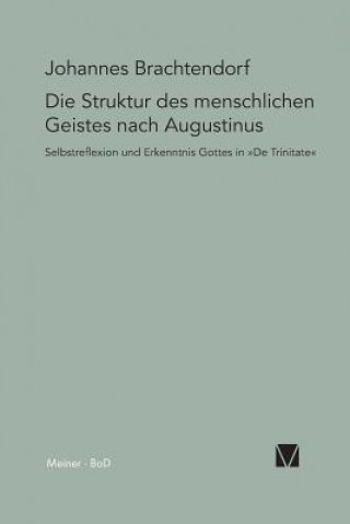 Livre Selbstrefelexion und Erkenntnis Gottes Johannes Brachtendorf