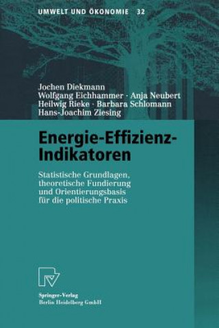 Книга Energie-Effizienz-Indikatoren JOCHEN DIEKMANN