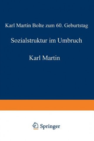 Kniha Sozialstruktur Im Umbruch Stefan Hradil