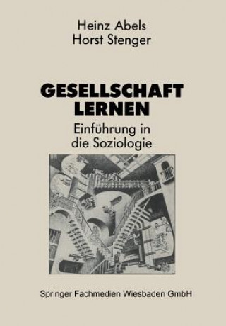 Buch Gesellschaft Lernen Heinz Abels