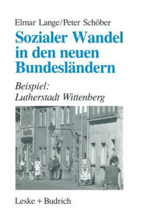 Kniha Sozialer Wandel in Den Neuen Bundeslandern Peter Schober