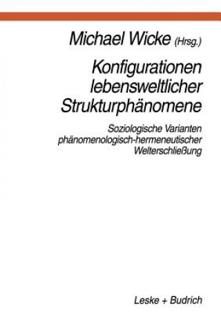 Kniha Konfigurationen Lebensweltlicher Strukturph nomene Michael Wicke