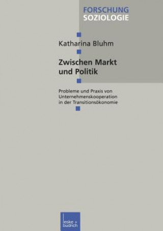 Kniha Zwischen Markt Und Politik Bluhm