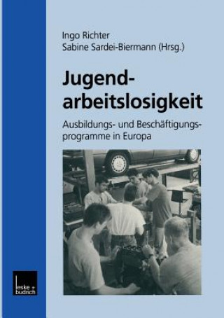 Kniha Jugendarbeitslosigkeit Ingo Richter