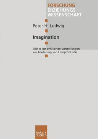 Kniha Imagination Peter Ludwig