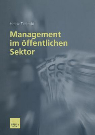 Kniha Management Im  ffentlichen Sektor Heinz Zielinski