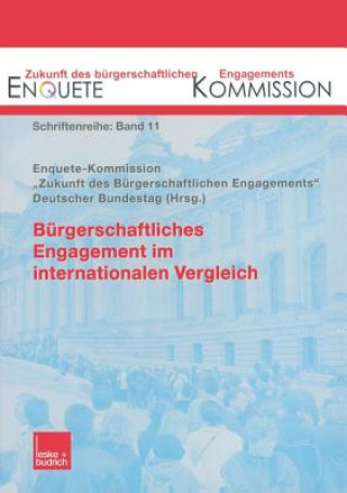 Knjiga Burgerschaftliches Engagement Im Internationalen Vergleich 