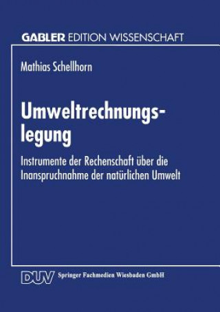 Buch Umweltrechnungslegung 