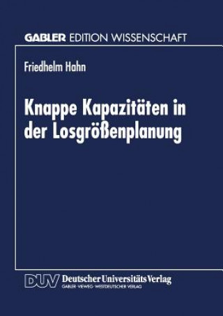 Kniha Knappe Kapazitaten in Der Losgroessenplanung 