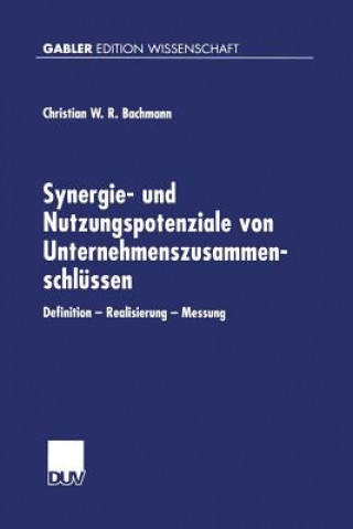 Kniha Synergie- Und Nutzungspotenziale Von Unternehmenszusammenschlussen Christian Bachmann