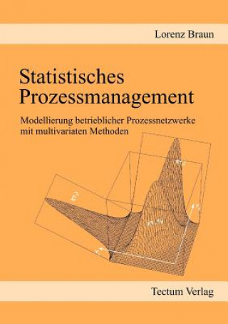 Книга Statistisches Prozessmanagement Lorenz Braun