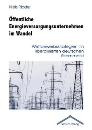 Kniha OEffentliche Energieversorgungsunternehmen im Wandel Niels Ridder