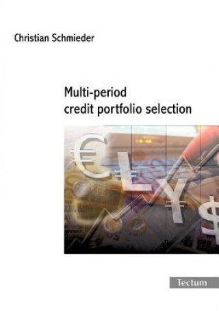 Kniha Multi-period Credit Portfolio Selection Christian Schmieder