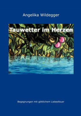 Book Tauwetter im Herzen Angelika Wildegger