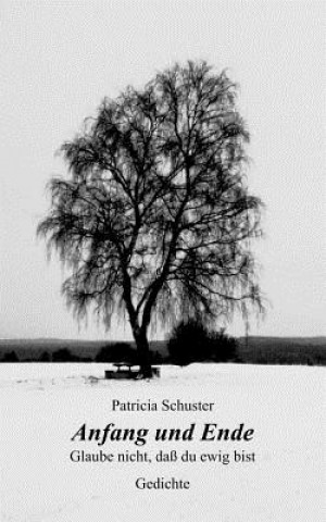 Kniha Anfang und Ende. Glaube nicht, dass du ewig bist. Gedichte Patricia Schuster