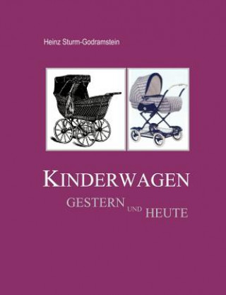 Kniha Kinderwagen gestern und heute Heinz Sturm-Godramstein