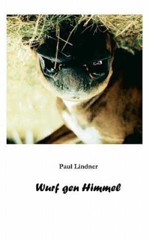 Livre Wurf gen Himmel Paul Lindner