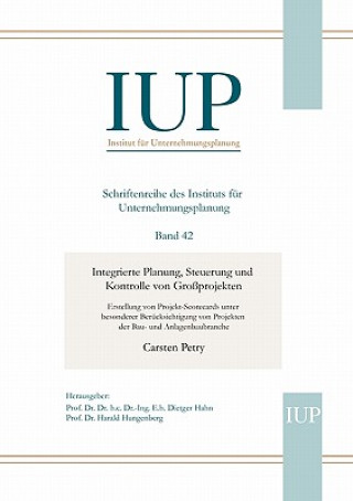 Kniha Integrierte Planung, Steuerung und Kontrolle von Grossprojekten Carsten Petry