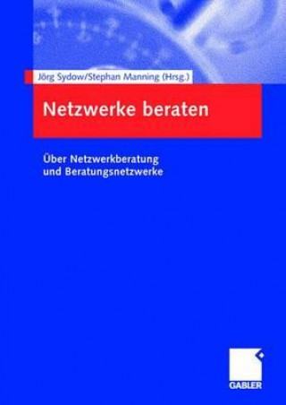 Kniha Netzwerke Beraten Jörg Sydow